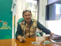 Labuan Bajo Diguncang Temuan Tambang Ilegal, DPRD Desak Penegakan Hukum