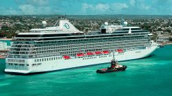 Kapal Pesiar Riviera Berlabuh di Tenau, 600 Wisatawan Mancanegara Siap Jelajahi Pesona Kupang