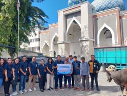 Sambut Idul Adha 2026, Bank NTT Tebar Hewan Kurban di Seluruh NTT