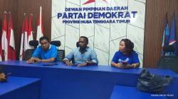 Demokrat Buka Posko di Wilayah Terdampak Gempa Flores, Fokus Bantuan Darurat
