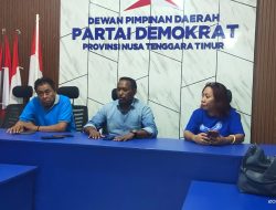 Demokrat Buka Posko di Wilayah Terdampak Gempa Flores, Fokus Bantuan Darurat
