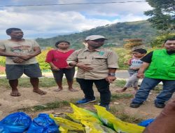 Anggota DPRD Manggarai Turun ke Lokasi Gempa, Salurkan Sembako untuk Warga Belang Turi